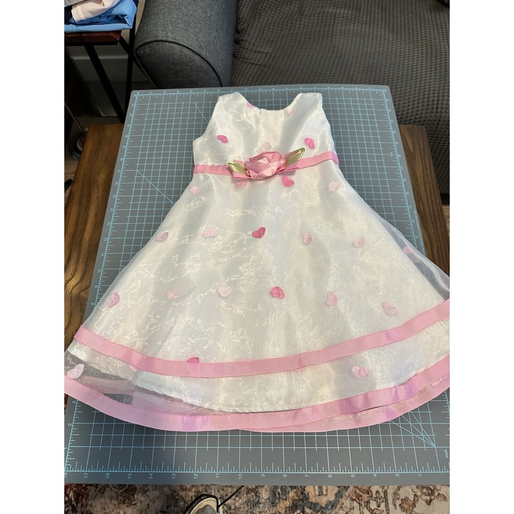 Youngland Baby Dress White with Pink Embroidered Hearts And Ducks Size 3T
